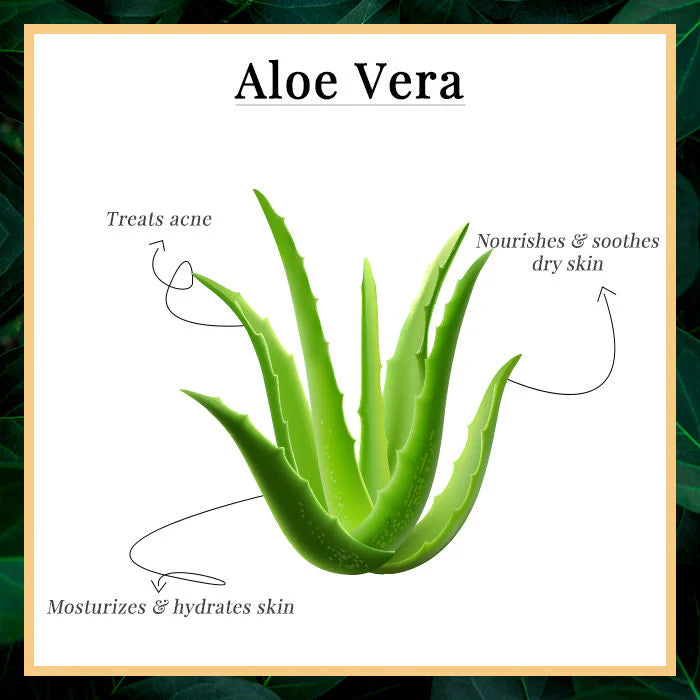 Aloe Vera Gel (100 g) l Good Vibes Brand!
